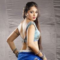 Anushka Shetty - Vaanam Movie Stills | Picture 30031