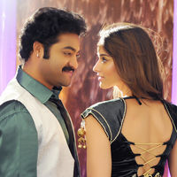 Shakthi Movie New Pictures | Picture 31911