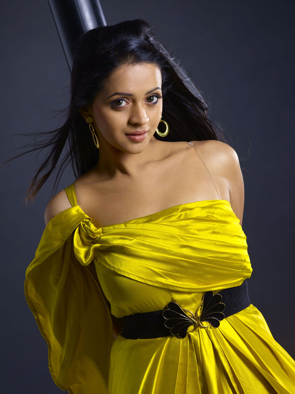 Bhavana hot pictures | Picture 46033