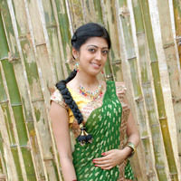 Pranitha New Pictures | Picture 46723