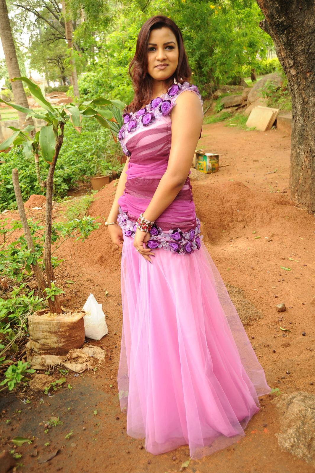 Telugu Actress Dimple New Pictures | Picture 50073