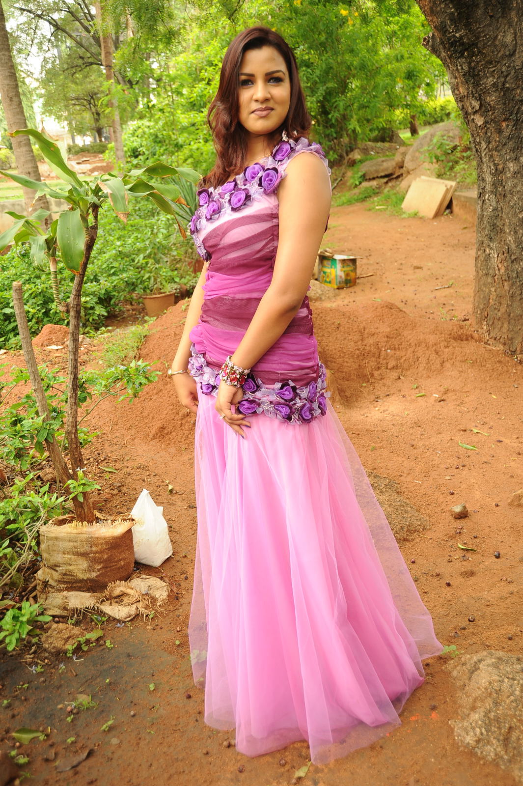 Telugu Actress Dimple New Pictures | Picture 50082