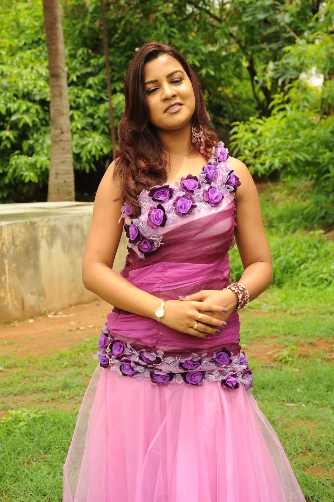 Telugu Actress Dimple New Pictures | Picture 50083