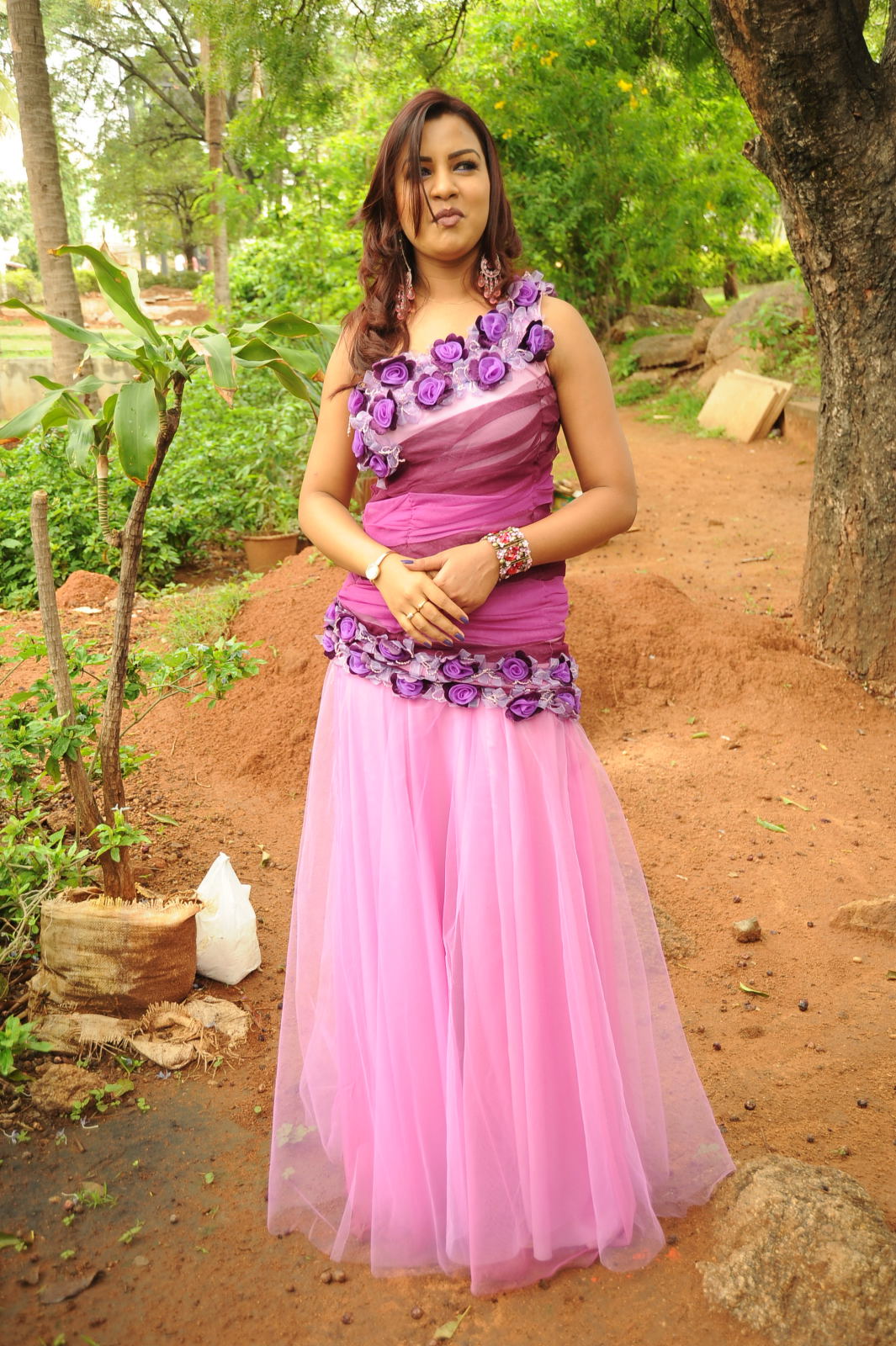 Telugu Actress Dimple New Pictures | Picture 50084