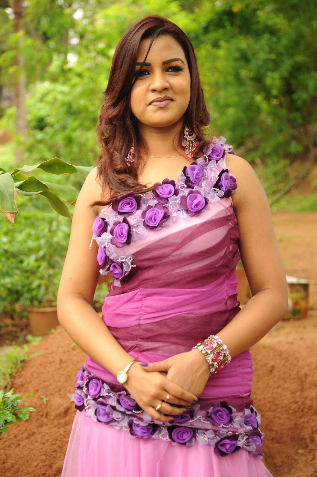 Telugu Actress Dimple New Pictures | Picture 50086