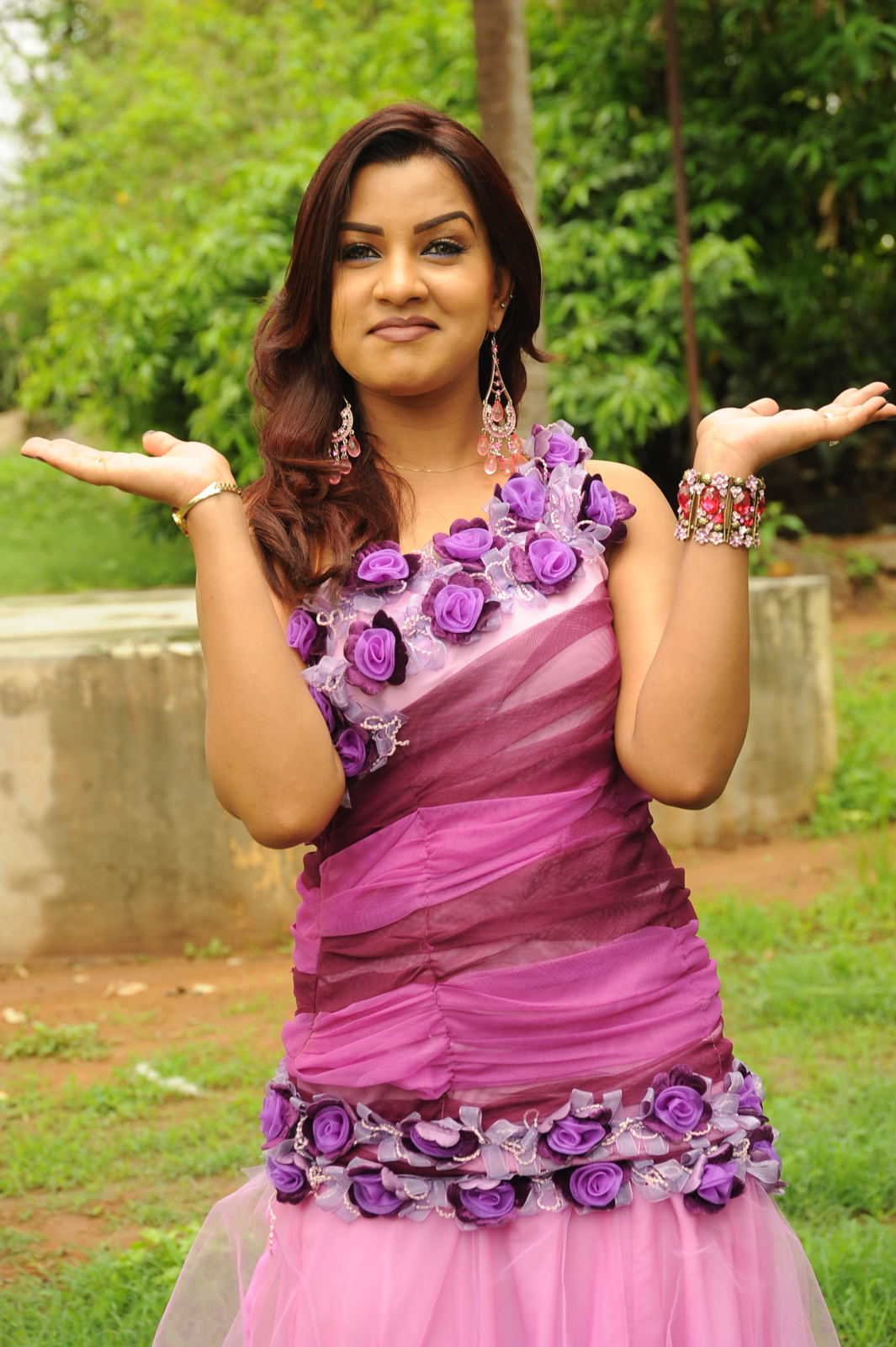 Telugu Actress Dimple New Pictures | Picture 50087