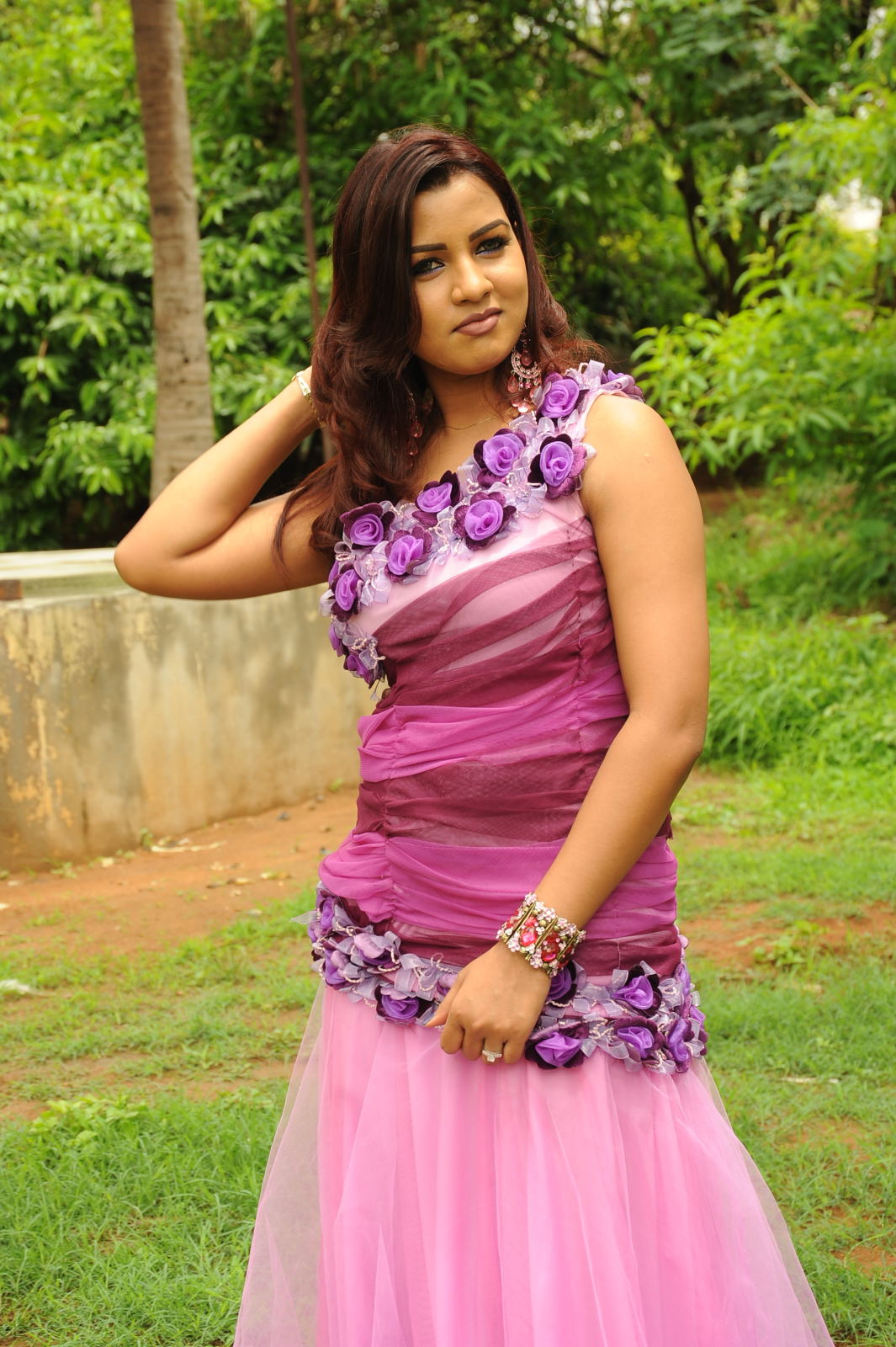 Telugu Actress Dimple New Pictures | Picture 50088