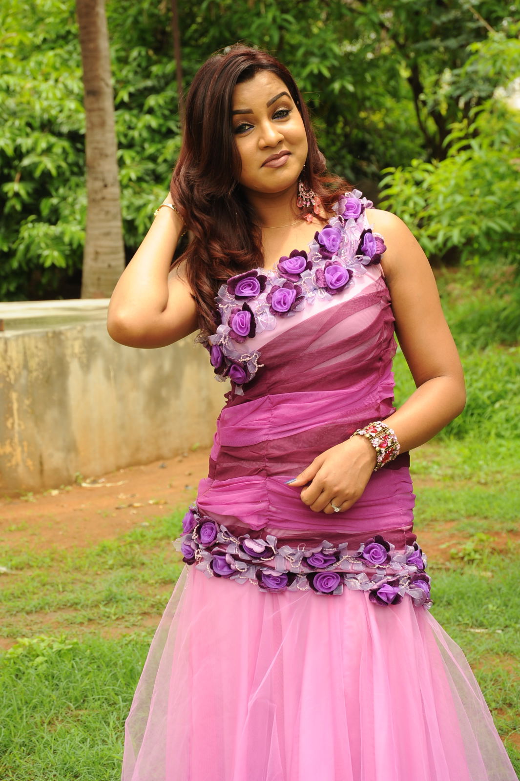 Telugu Actress Dimple New Pictures | Picture 50090