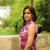 Telugu Actress Dimple New Pictures | Picture 50059