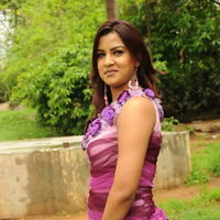 Telugu Actress Dimple New Pictures | Picture 50060