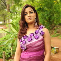 Telugu Actress Dimple New Pictures | Picture 50066