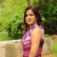 Telugu Actress Dimple New Pictures | Picture 50079