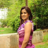 Telugu Actress Dimple New Pictures | Picture 50089