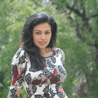 Telugu Actress Mayuri Hot Pictures